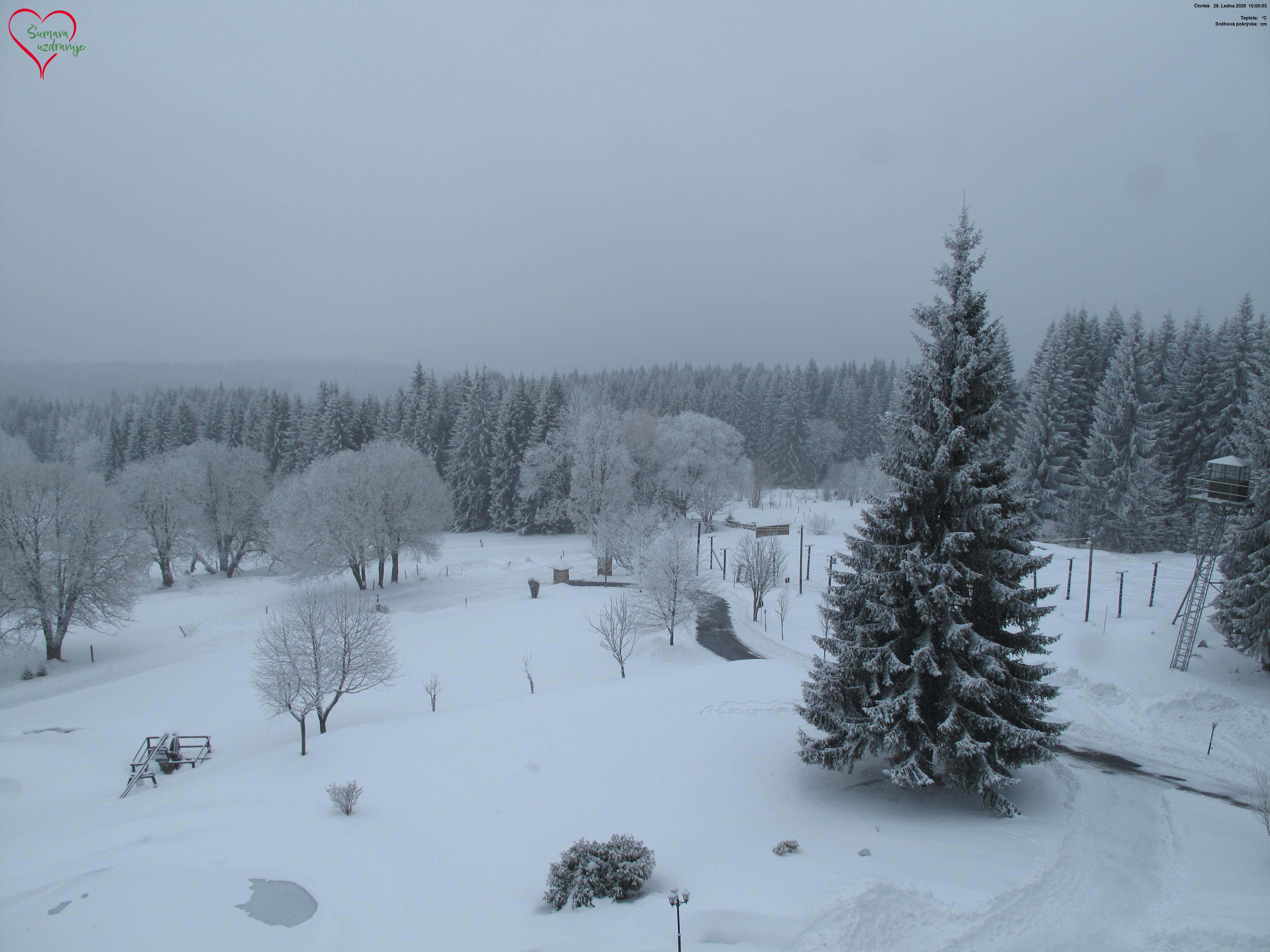 Bučina – panorama (Šumava)