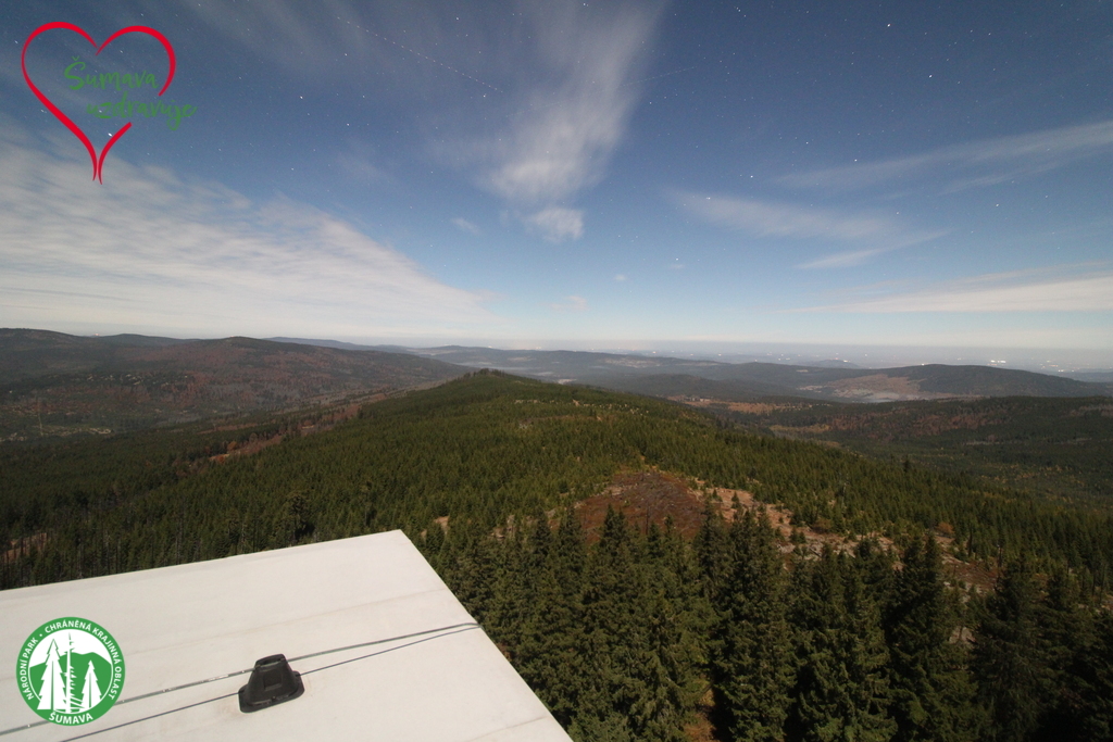 Poledník forest panorama