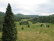 Březník