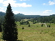 Březník