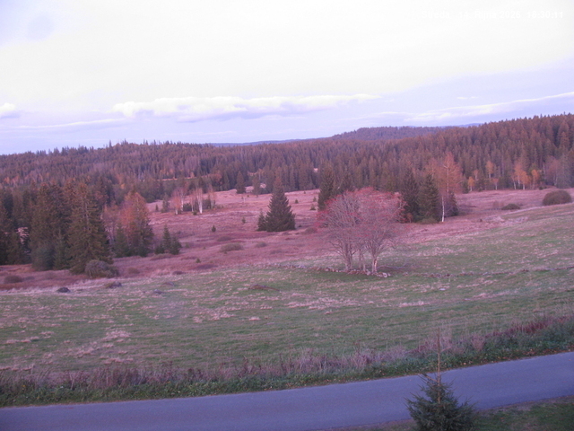 f202610141630.jpg
